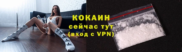 Альфа ПВП Инта